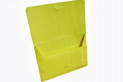 DHL (OPEN)